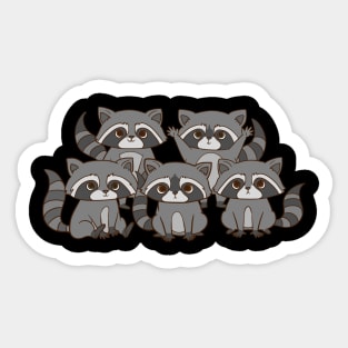 A sweet raccoon gang. Sticker